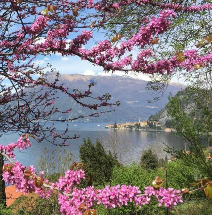 La Punta Di Varenna Buitenkant foto